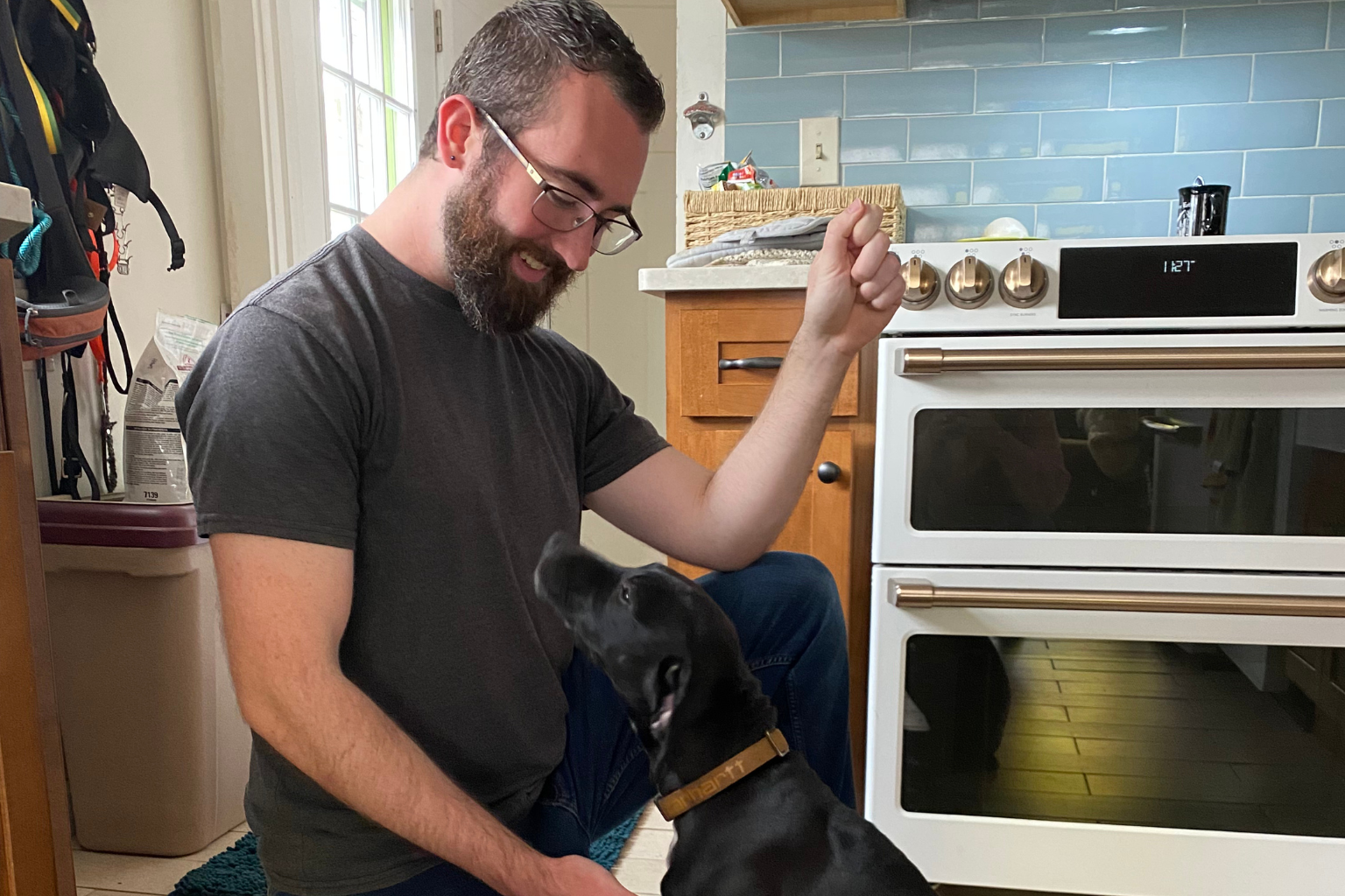 Private Dog Training Lessons