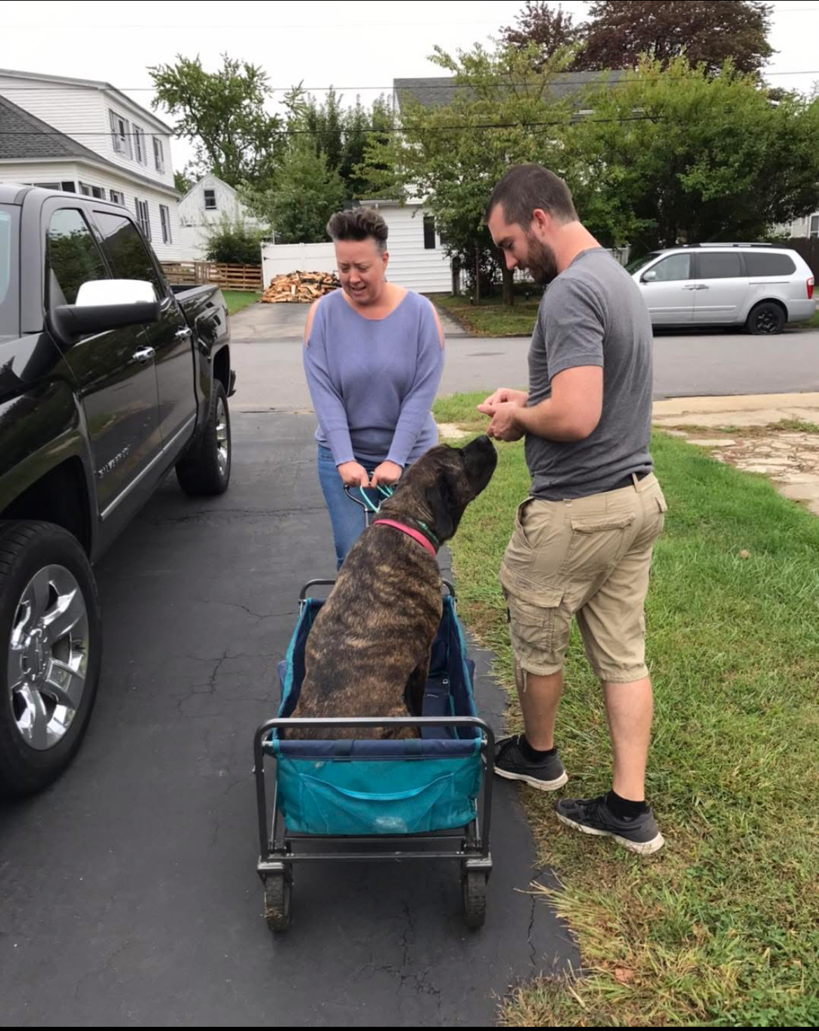 Woman and her dog working on a training exercise with a trainer in Manchester NH.